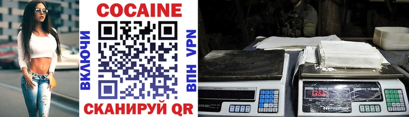 где купить Великий Новгород Cocaine Columbia