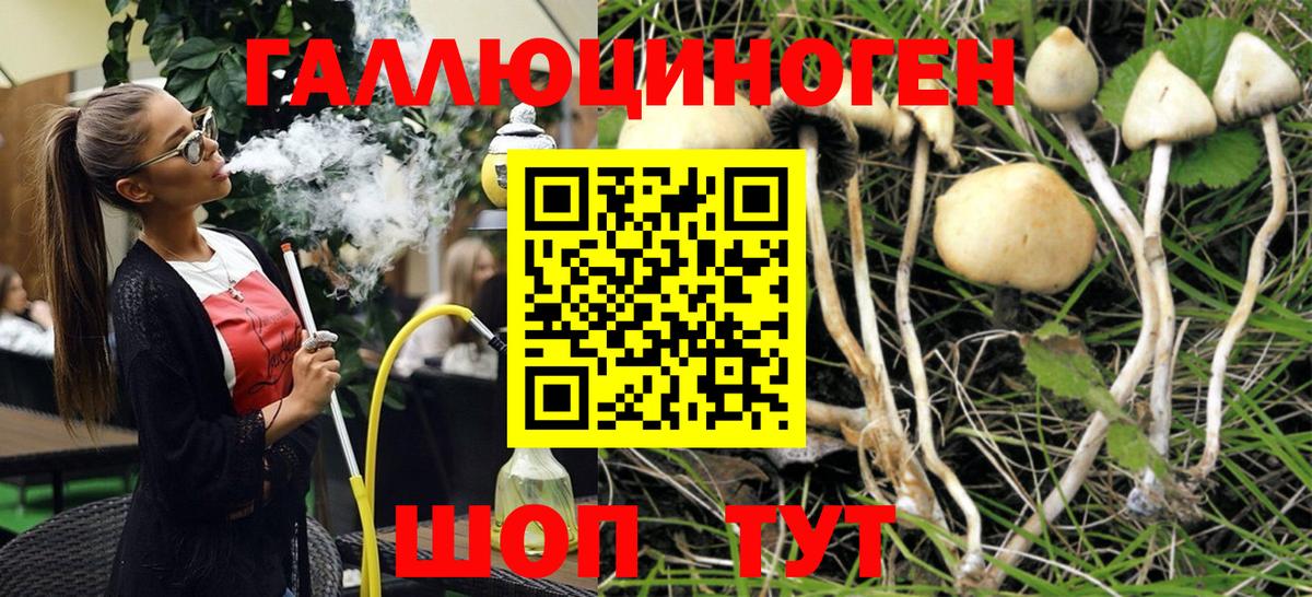 Псилоцибиновые грибы прущие грибы  Вход с VPN  Галлюциногенные грибы прущие грибы  Великий Новгород 